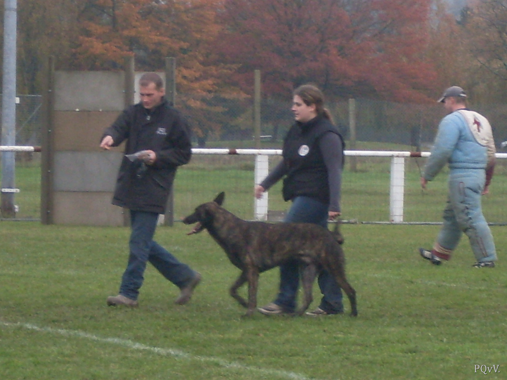  Eros des Crocs d’Olympe